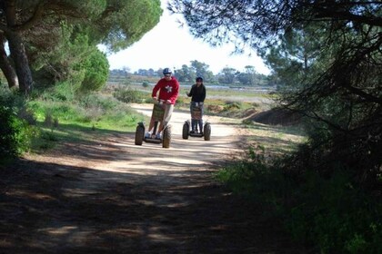 Faro: Segwaytour door het natuurpark Ria Formosa & vogels kijken