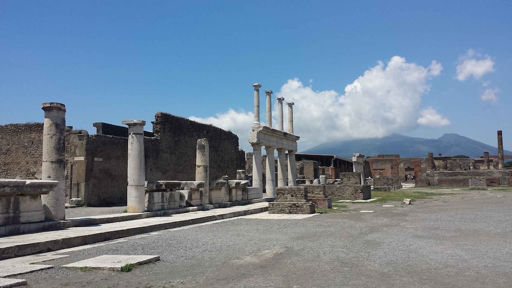 Picture 2 for Activity Pompeii and Herculaneum: Private Tour from Naples