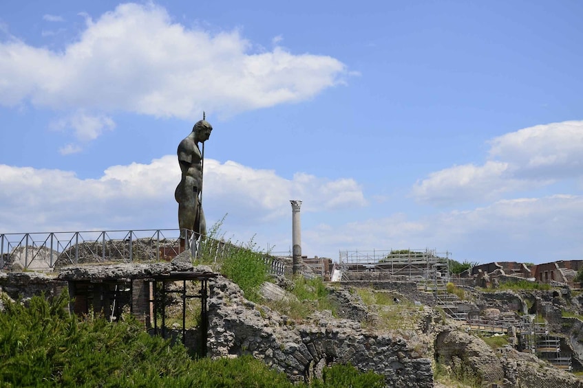 Picture 6 for Activity Pompeii and Herculaneum: Private Tour from Naples