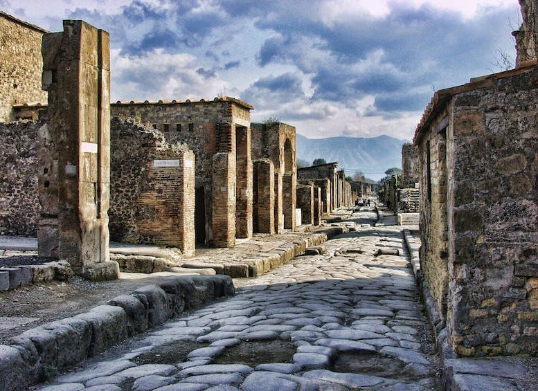 Pompeii and Herculaneum: Private Tour from Naples