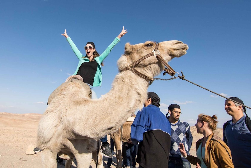 Picture 3 for Activity Riyadh: Desert Safari with Dinner