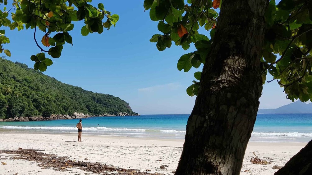 Picture 2 for Activity From Abraão, Ilha Grande: Lopes Mendes Beach Tour & Trekking