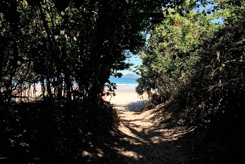 Picture 6 for Activity From Abraão, Ilha Grande: Lopes Mendes Beach Tour & Trekking