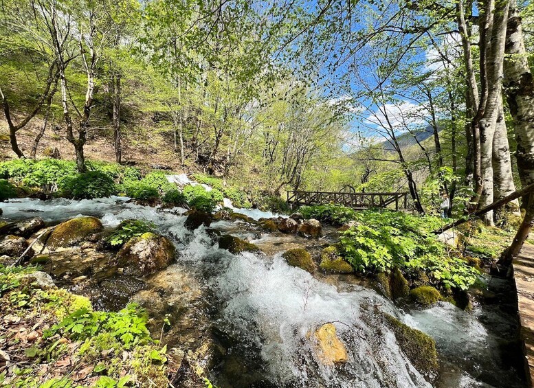 Picture 9 for Activity Kotor: Durmitor, Black Lake & Djurdjevica Tara Bridge Tour