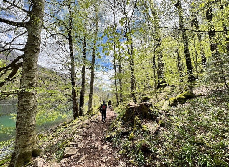 Picture 10 for Activity Kotor: Durmitor, Black Lake & Djurdjevica Tara Bridge Tour