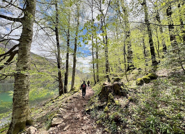 Picture 10 for Activity Kotor: Durmitor, Black Lake & Djurdjevica Tara Bridge Tour