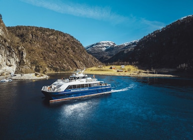 Bergen: Crucero por el fiordo de Mostraumen - El operador local