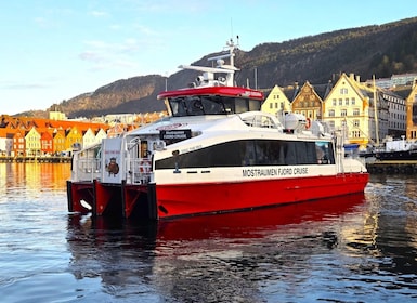 Bergen: Mostraumen Fjord Cruise - The Local Operator