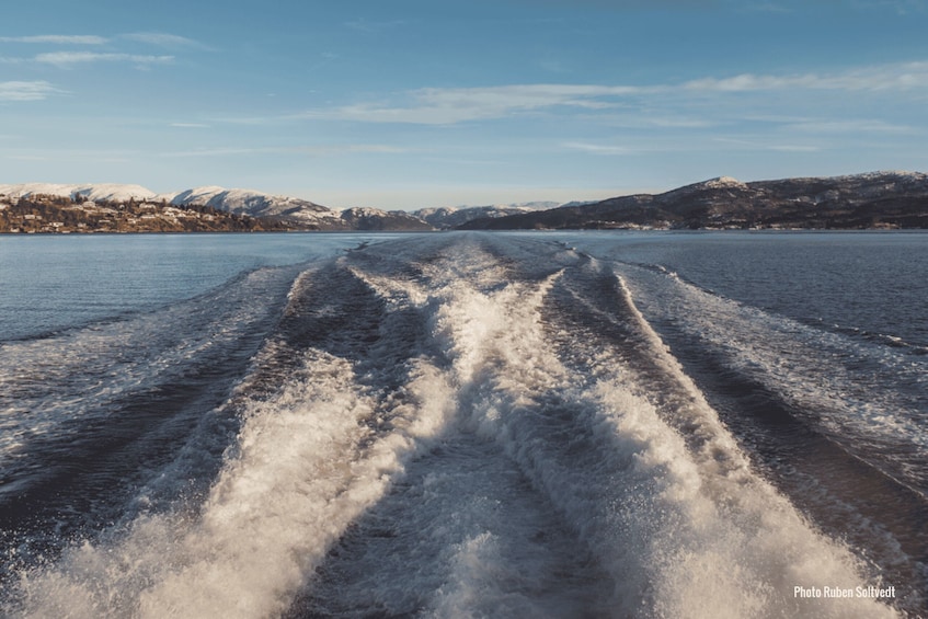 Picture 16 for Activity From Bergen: Mostraumen Fjord and Waterfall Cruise