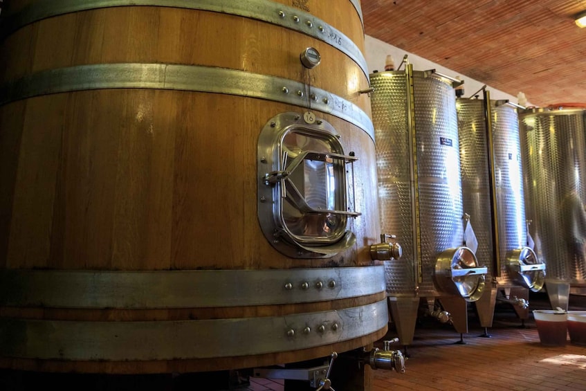 Picture 7 for Activity Chianti: Wine and Olive Oil Tasting with Cellar Tour