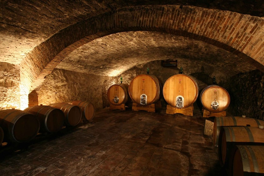 Picture 4 for Activity Chianti: Wine and Olive Oil Tasting with Cellar Tour