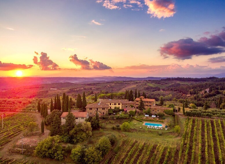 Picture 10 for Activity Chianti: Wine and Olive Oil Tasting with Cellar Tour