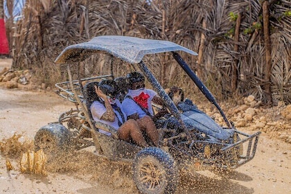 Horseback Riding Buggies in Punta Cana.