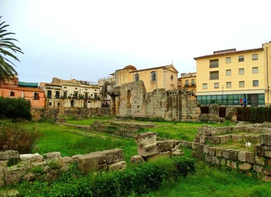 Syracuse: Ortygia & Neapolis Archaeological Park Guided Tour