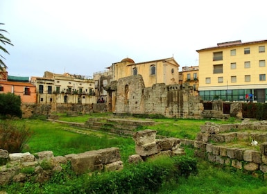 ซีราคิวส์: ทัวร์พร้อมไกด์อุทยานโบราณคดี Ortygia และ Neapolis