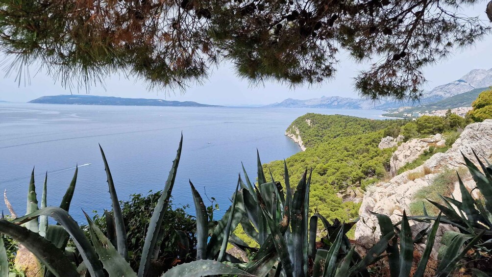 Picture 12 for Activity Makarska: Scenic Coastal Hike & Swim Tour