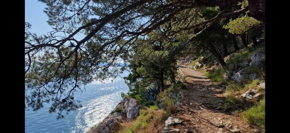 Picture 4 for Activity Makarska: Scenic Coastal Hike & Swim Tour
