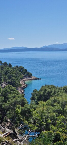 Picture 13 for Activity Makarska: Scenic Coastal Hike & Swim Tour