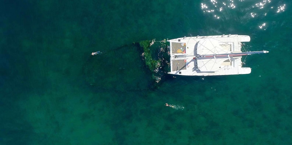 Picture 2 for Activity Samaná: Catamaran Boat Tour with Snorkeling and Lunch