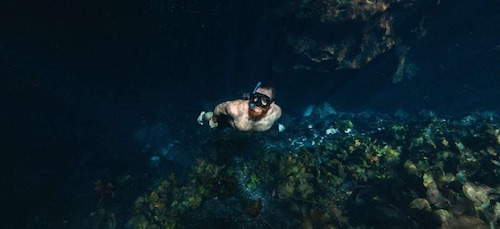 Merida: Ring of Cenotes Exploration Tour