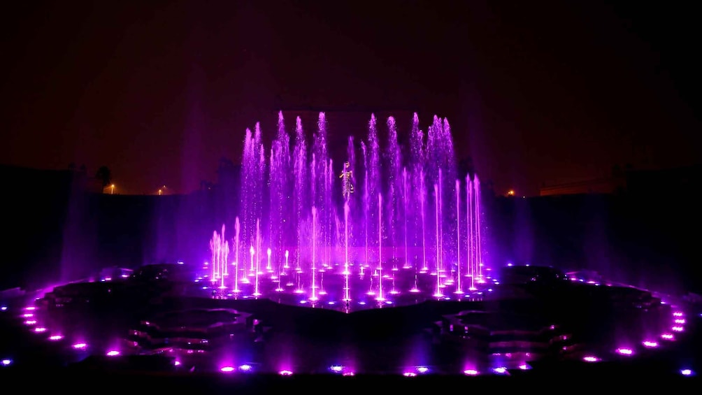 Picture 5 for Activity New Delhi - Akshardham Temple Tour with Water and Light Show