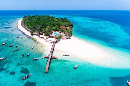 Zanzibar : Île de la prison, forêt de Jozani, et Excursion d’une journée da...