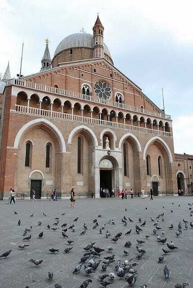 Picture 2 for Activity Padua City 2.5-Hour Walking Tour