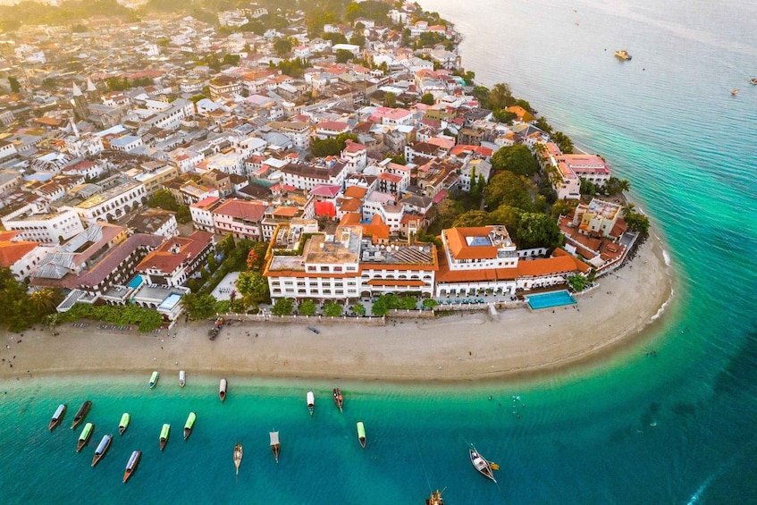 Picture 4 for Activity Zanzibar: Stone Town Tour & Prison Island with local Guide