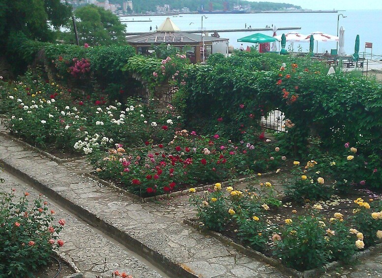 Picture 6 for Activity Balchik Castle and Botanical Garden : guided tour