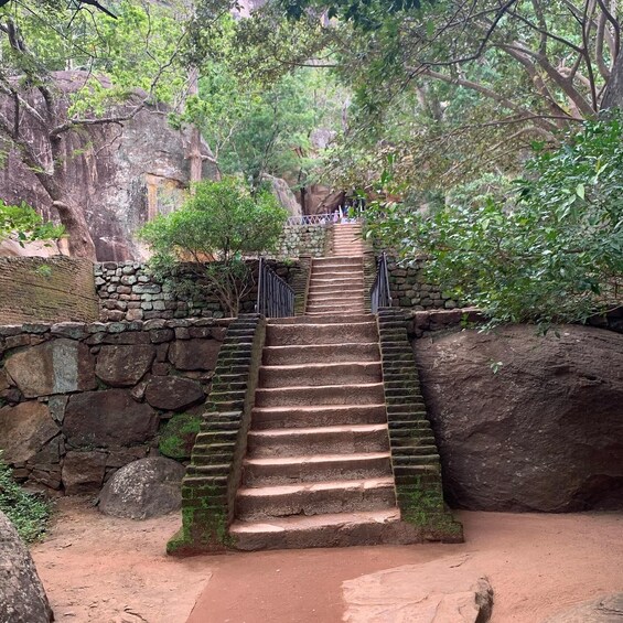 Picture 16 for Activity Colombo: Sigiriya Dambulla & Minneriya park Safari day tour