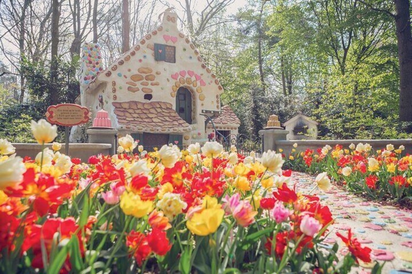 Hansel and Gretel in the Fairytale Forest