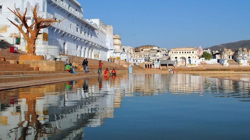 Von Jaipur aus: Tagesausflug von Jaipur nach Pushkar