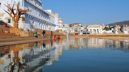 Von Jaipur aus: Pushkar Tagesausflug