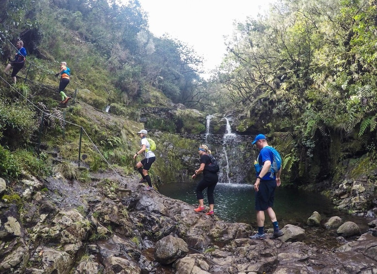 Picture 3 for Activity From Funchal: Easy to Moderate Green Levada Running Tour
