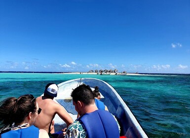 Visite privée de Paradise Island, plongée en apnée et sanctuaire de lamanti...