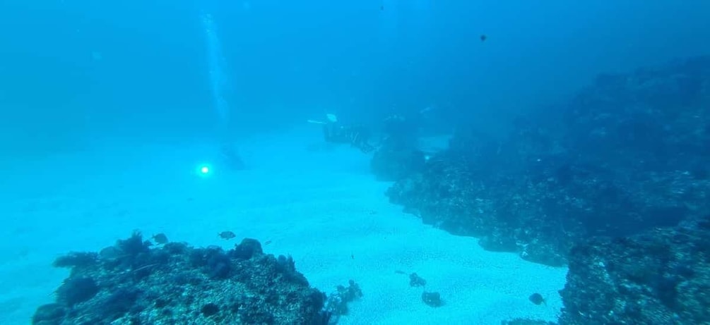 Picture 11 for Activity Sesimbra: Double Dive on a Marine reserve