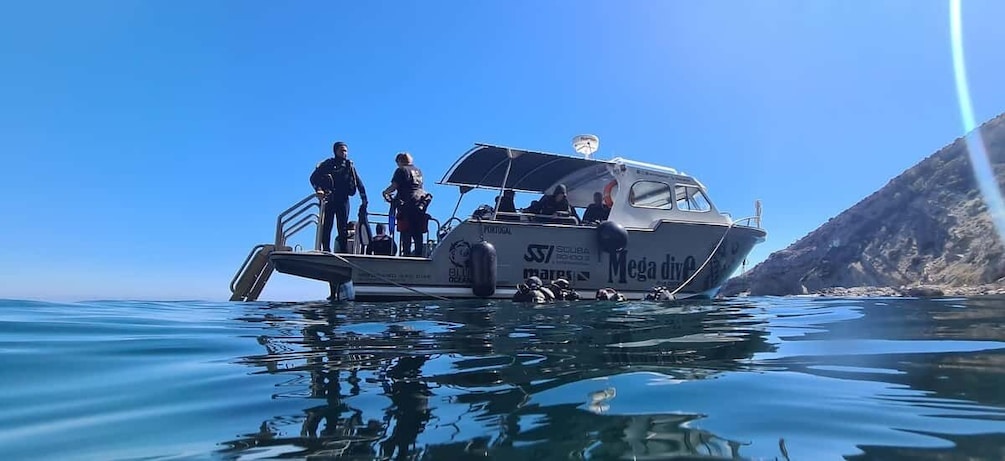 Sesimbra: Double Dive on a Marine reserve