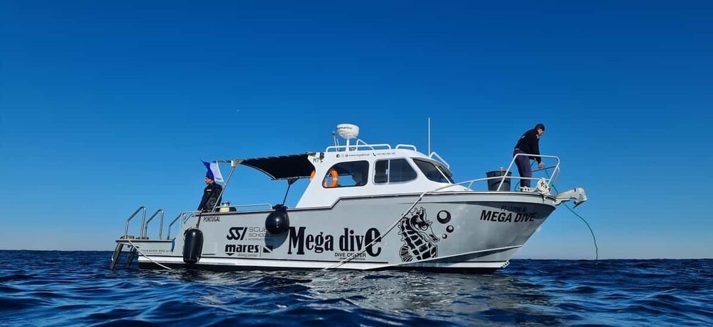 Picture 9 for Activity Sesimbra: Double Dive on a Marine reserve