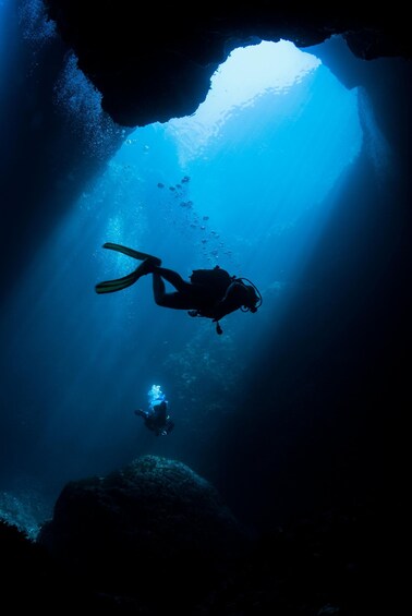 Picture 2 for Activity Sesimbra: Double Dive on a Marine reserve