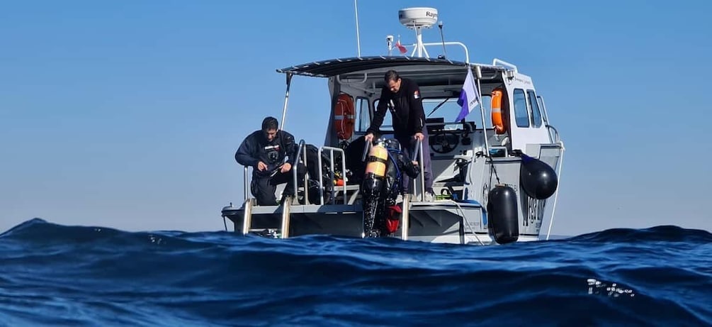 Sesimbra: Double Dive on a Marine reserve