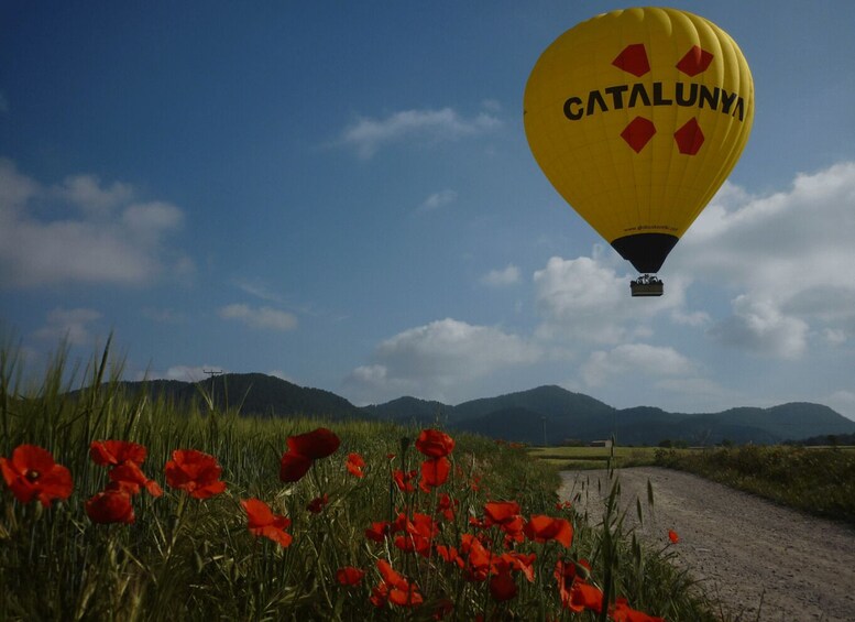 Picture 5 for Activity Hot Air Ballooning & Sailing Adventure from Barcelona