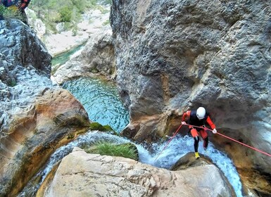 Desde Granada: tour de barranquismo por Río Verde