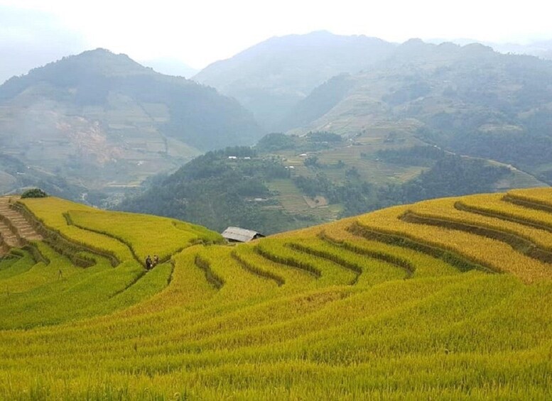 Picture 15 for Activity From Hanoi: 2 Day Sapa Trekking To Village & Bungalow