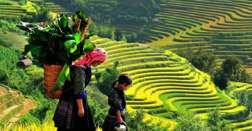 Fra Hanoi: 2-dages Sapa Trekking til landsby og bungalow