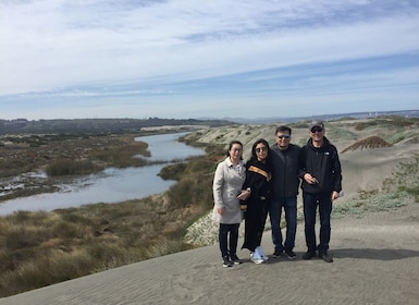 Lunch, Birdwatching in Wetlands & Horse Ride from Valparaíso