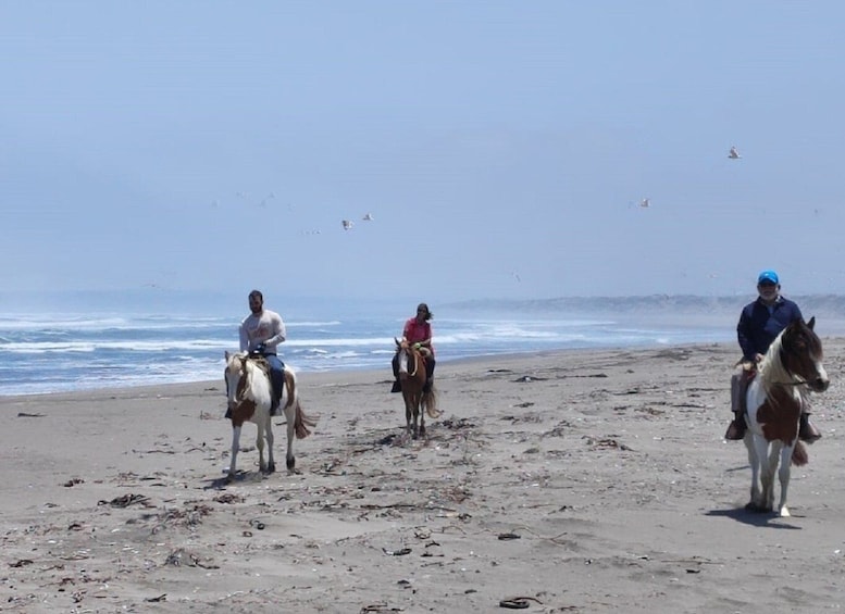 Picture 3 for Activity 4x4 Journey Mantagua Dunes &Wetland&HorseRiding F Valparaiso