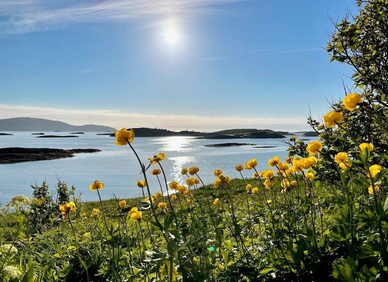 Picture 8 for Activity From Tromsø: Sea Kayaking Tour at Sommarøy with Transfer