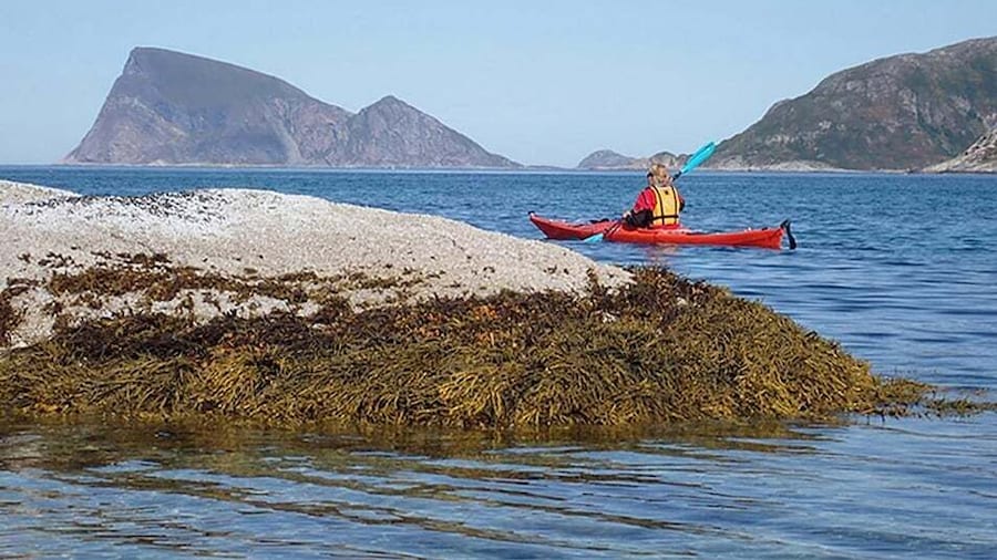 From Tromsø: Sea Kayaking Tour at Sommarøy with Transfer
