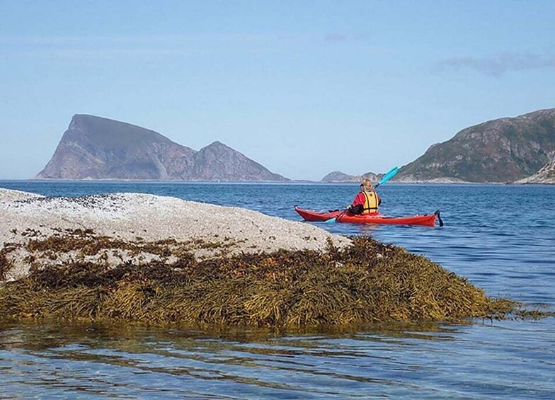 From Tromsø: Sea Kayaking Tour at Sommarøy with Transfer