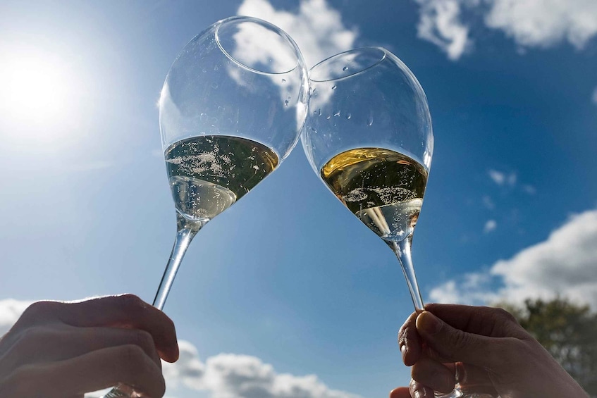 Picture 36 for Activity From Reims/Epernay:The Connoisseurs Private Tour 9 tastings